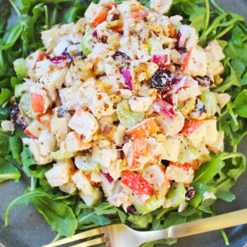 Healthy Tuna Salad with Apple, Veggies, and Cranberries - Our Sweetly  Spiced Life